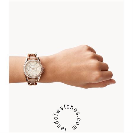 Buy Women's FOSSIL ES3466 Fashion Watches | Original