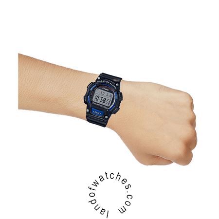 Buy Men's CASIO W-736H-2AVDF Sport Watches | Original