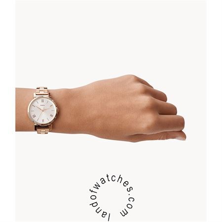 Buy Women's FOSSIL ES4791 Classic Watches | Original