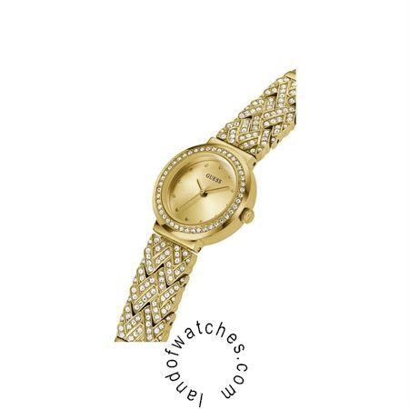 شراء ساعة معصم نسائیه غس(GUESS) GW0476L2 موضه | | | الأصلي