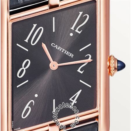 Buy CARTIER CRWGTA0043 Watches | Original