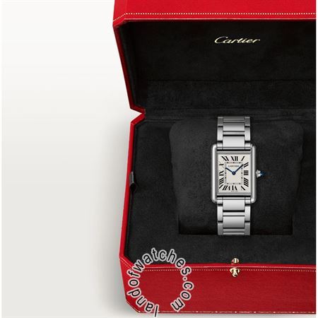 Buy CARTIER CRWSTA0052 Watches | Original