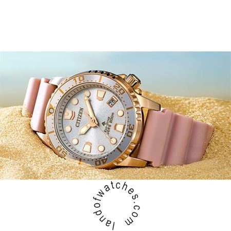 Buy Women's CITIZEN EW7060-57E Classic Watches | Original