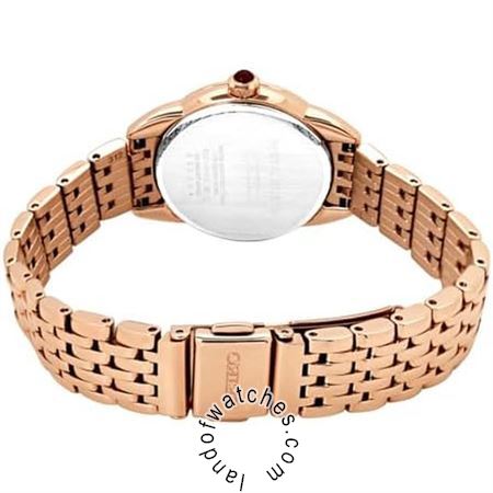 Buy Women's SEIKO SUR564P1 Fashion Watches | Original