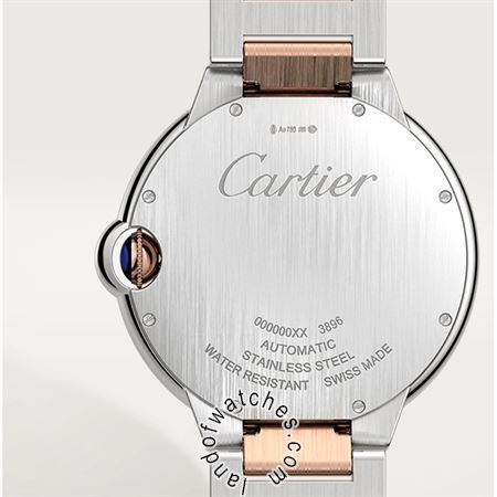 Buy CARTIER CRW2BB0004 Watches | Original