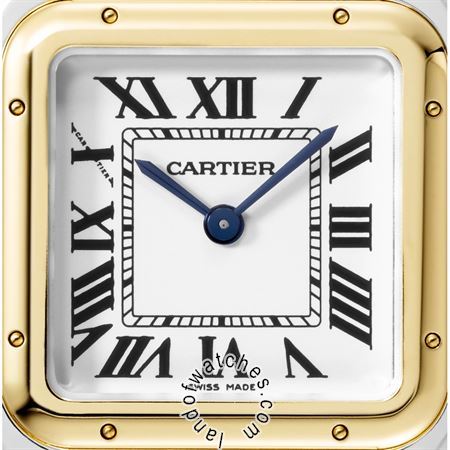 Buy CARTIER CRW2PN0007 Watches | Original