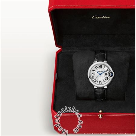 Buy CARTIER CRWSBB0030 Watches | Original