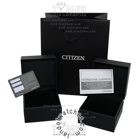 Buy Men's CITIZEN BI5110-54Z Classic Watches | Original