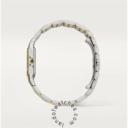 Buy CARTIER CRW2PN0007 Watches | Original