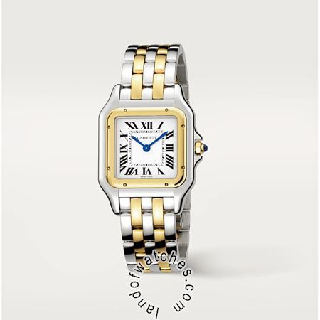 Buy CARTIER CRW2PN0007 Watches | Original