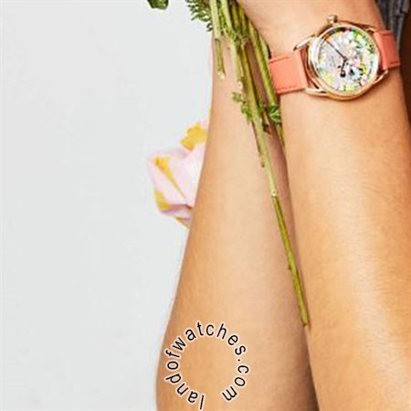 Buy Women's CITIZEN FE6087-04W Fashion Watches | Original