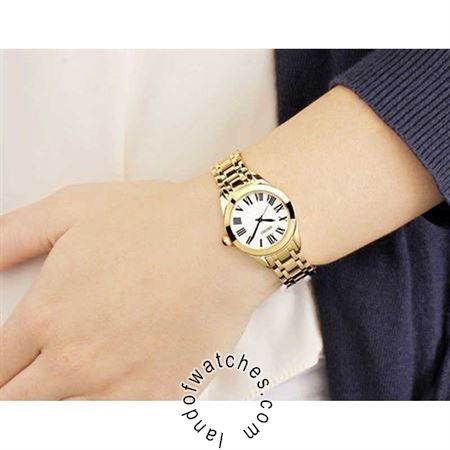 Buy Women's SEIKO SRZ384P1 Classic Watches | Original