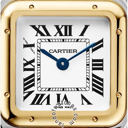 Buy CARTIER CRW2PN0006 Watches | Original