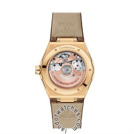 Buy OMEGA 131.53.39.20.08.001 Watches | Original