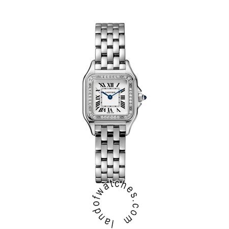 Buy CARTIER CRW4PN0007 Watches | Original