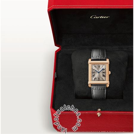 Buy CARTIER CRWGTA0075 Watches | Original