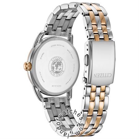 Buy Women's CITIZEN FE6086-74A Classic Watches | Original