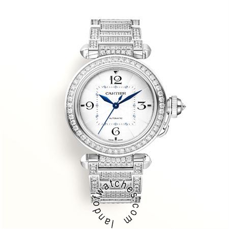 Buy CARTIER CRWJPA0014 Watches | Original