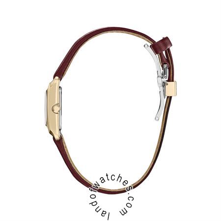 شراء ساعة معصم نسائیه سیتیزن(CITIZEN) EW5593-05D كلاسيك | | | الأصلي