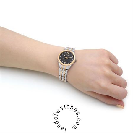 شراء ساعة معصم نسائیه سیتیزن(CITIZEN) EM1014-50E كلاسيك | | | الأصلي