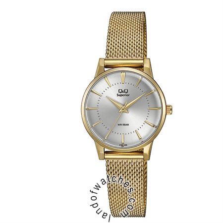 Buy Women's Q&Q S399J021Y Classic Watches | Original