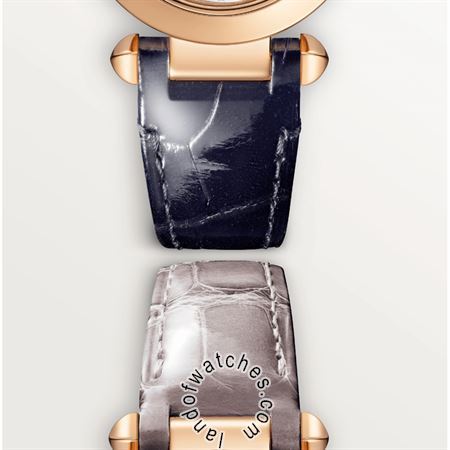 Buy CARTIER CRWGPA0018 Watches | Original