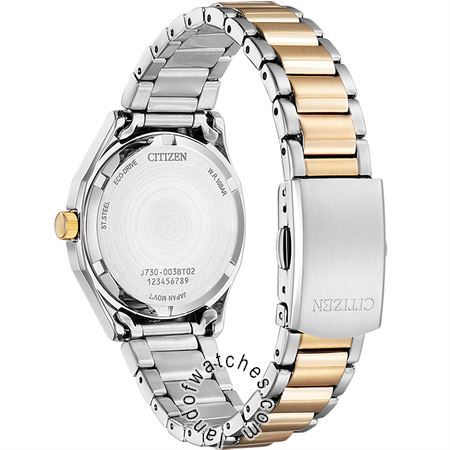 Buy Women's CITIZEN FE2116-85A Classic Watches | Original