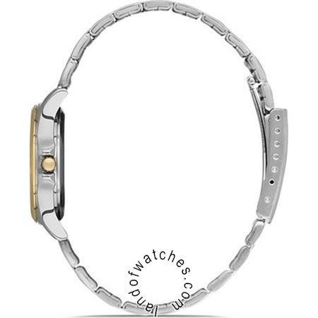 Buy Women's David Guner DG-8064LA-D10 Classic Watches | Original