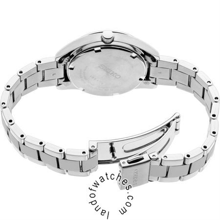 شراء ساعة معصم نسائیه سیکو(SEIKO) SUR351P1 كلاسيك | | | الأصلي