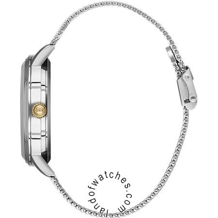 Buy Men's David Guner DG-8237GC-D1 Classic Watches | Original
