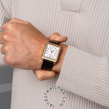 شراء ساعة معصم رجالیه کاسیو(CASIO) MTP-B190GL-7BVDF كلاسيك | | | الأصلي