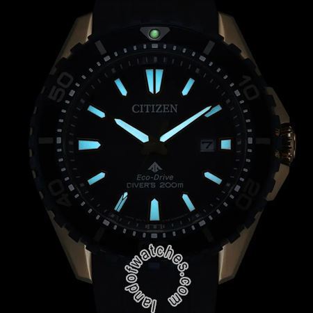Buy Men's CITIZEN BN0196-01L Sport Watches | Original