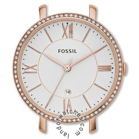 Buy FOSSIL C141016 Watches | Original