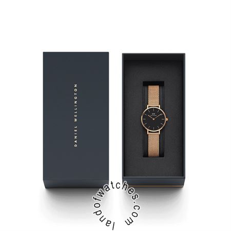 Buy Women's DANIEL WELLINGTON DW00100217 Classic Watches | Original