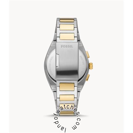 Buy FOSSIL FS5796 Watches | Original