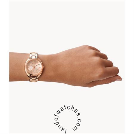 Buy Women's FOSSIL ES5070 Watches | Original