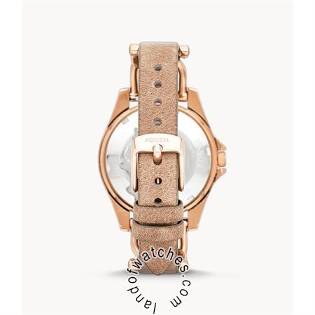 Buy Women's FOSSIL ES3466 Fashion Watches | Original
