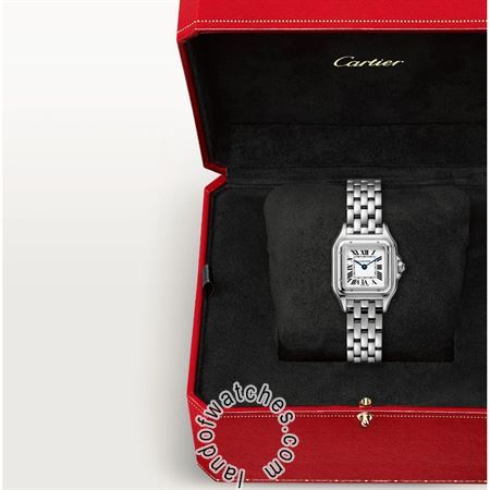 Buy CARTIER CRWSPN0006 Watches | Original