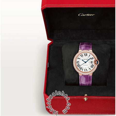 Buy CARTIER CRWE900551 Watches | Original