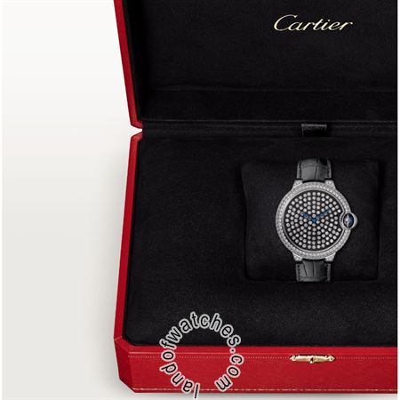 Buy CARTIER CRHPI01062 Watches | Original