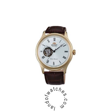 Buy ORIENT AG00002W Watches | Original