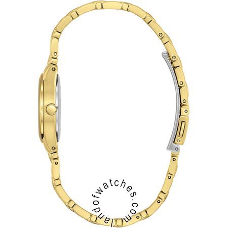 Buy Women's CITIZEN EW1262-55P Classic Watches | Original