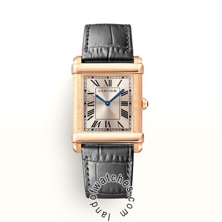 Buy CARTIER CRWGTA0075 Watches | Original