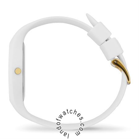 شراء ساعة معصم آیس واج(ICE WATCH) 19860 | | | الأصلي