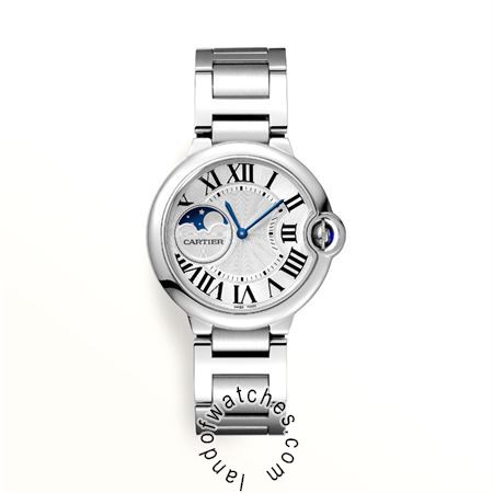 Buy CARTIER CRWSBB0021 Watches | Original