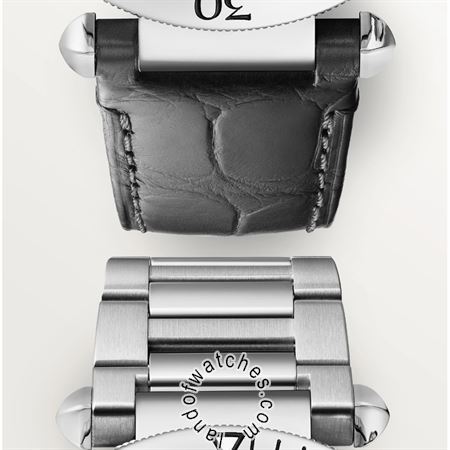 Buy CARTIER CRWSPA0018 Watches | Original