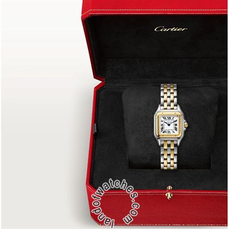 Buy CARTIER CRW2PN0006 Watches | Original