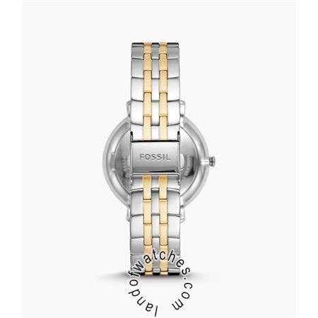 Buy Women's FOSSIL ES5143 Classic Watches | Original