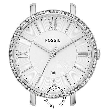 Buy FOSSIL C141014 Watches | Original