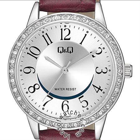 Buy Women's Q&Q Q04B-002PY Watches | Original